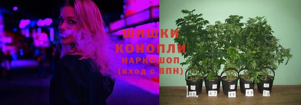 кокс Алзамай