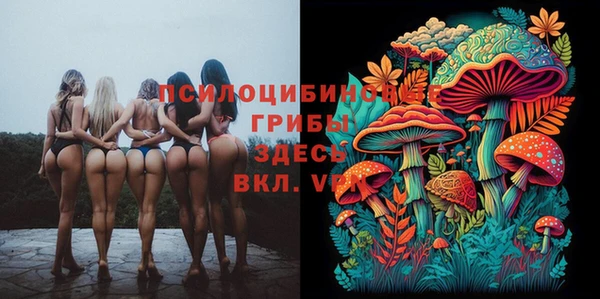 jwh Алексеевка