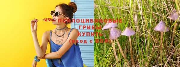 крисы Абинск