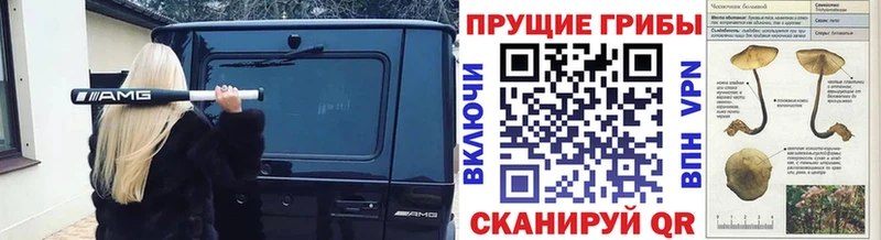 Галлюциногенные грибы GOLDEN TEACHER  купить   Чишмы 